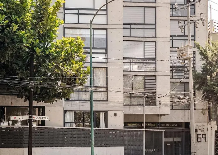 Discover Urban Life In The Heart Of Apartment Mexico City