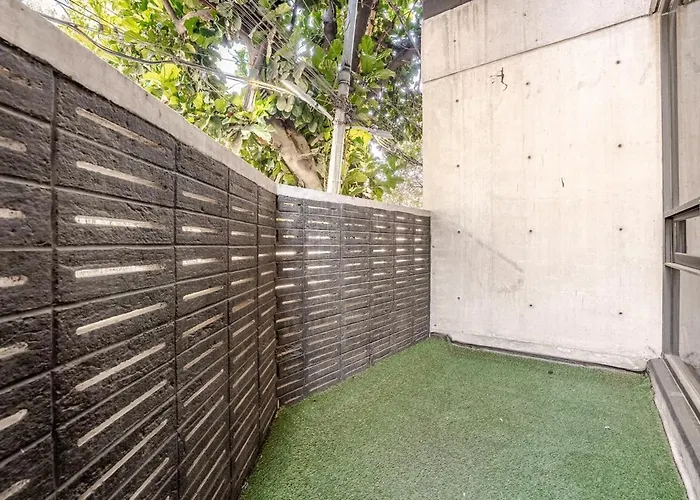 Apartment Discover Urban Life In The Heart Of Mexico City