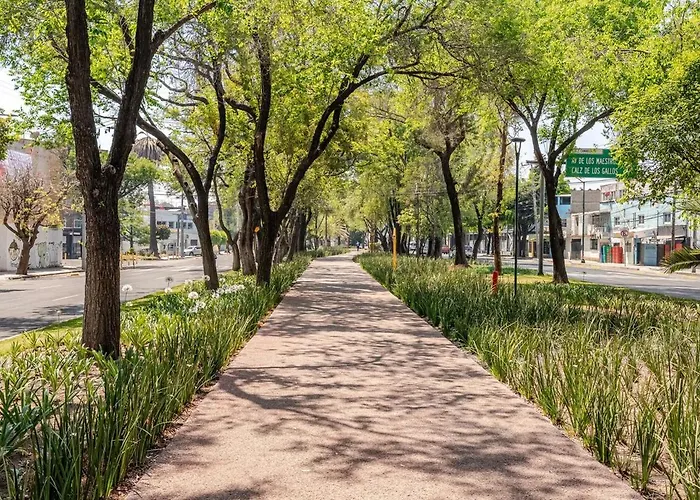 Discover Urban Life In The Heart Of